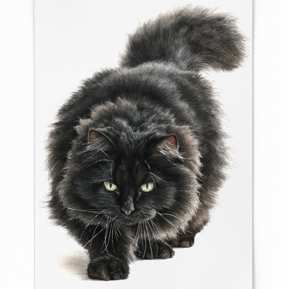 Watercolor Siberian Black Cat Art Print Illustartion - Pet Portrait - Unframed - Picture 2 of 6